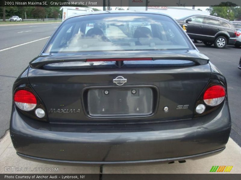 Gray Lustre Metallic / Frost 2001 Nissan Maxima SE