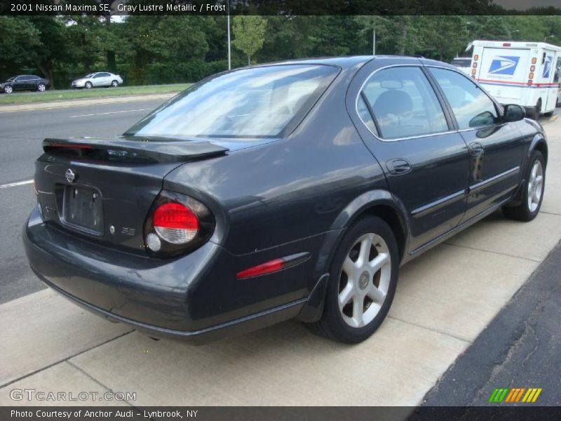 Gray Lustre Metallic / Frost 2001 Nissan Maxima SE