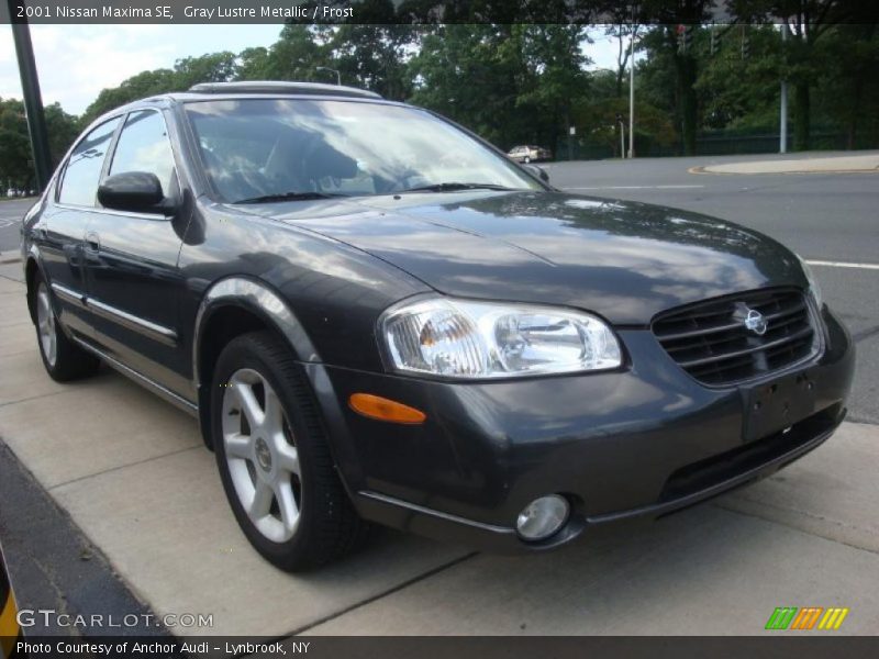 Gray Lustre Metallic / Frost 2001 Nissan Maxima SE