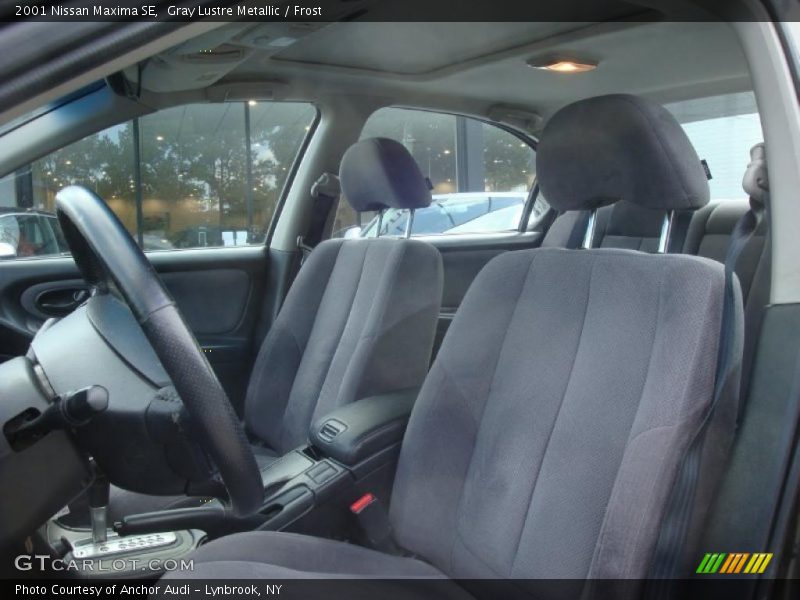 Gray Lustre Metallic / Frost 2001 Nissan Maxima SE