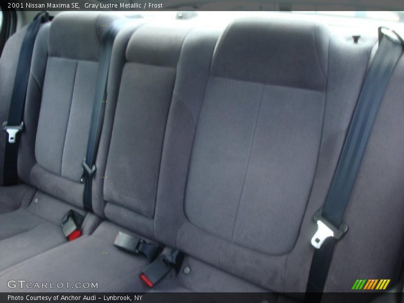 Gray Lustre Metallic / Frost 2001 Nissan Maxima SE