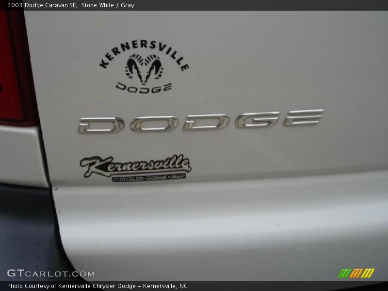 Stone White / Gray 2003 Dodge Caravan SE