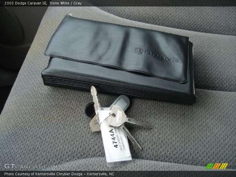 Stone White / Gray 2003 Dodge Caravan SE