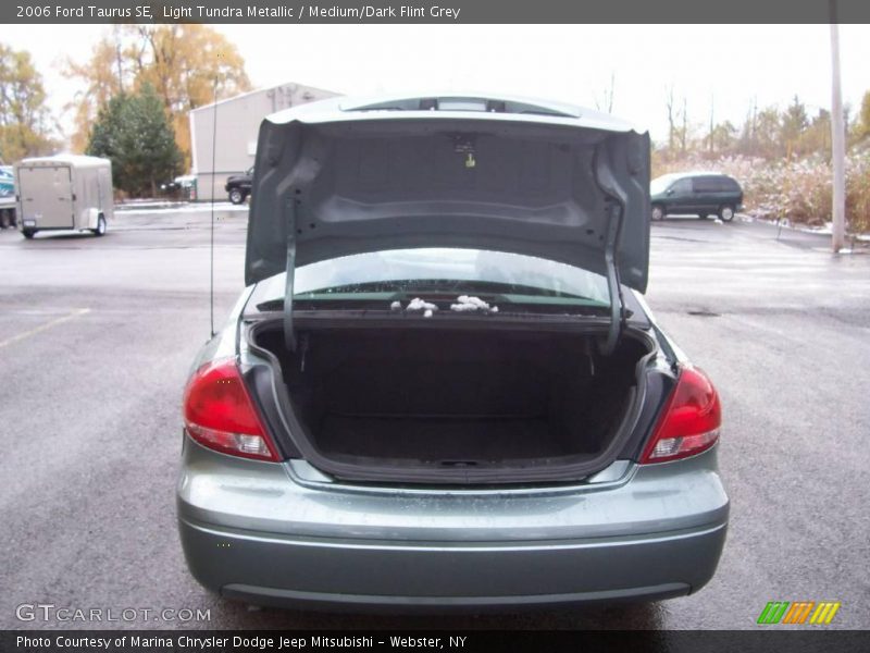 Light Tundra Metallic / Medium/Dark Flint Grey 2006 Ford Taurus SE