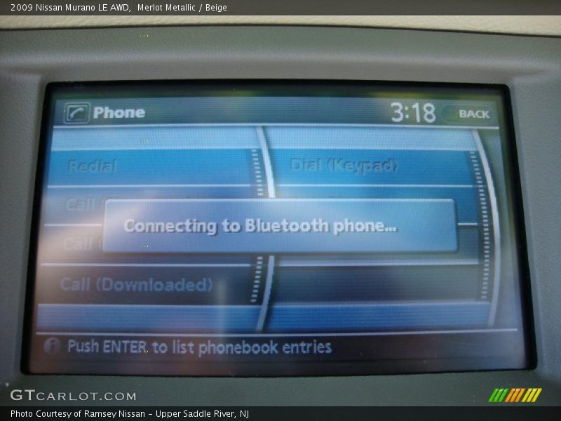 Merlot Metallic / Beige 2009 Nissan Murano LE AWD