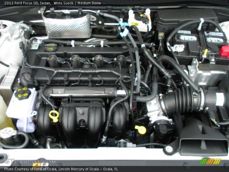 White Suede / Medium Stone 2011 Ford Focus SEL Sedan