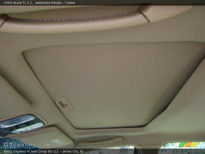 Anthracite Metallic / Camel 2004 Acura TL 3.2