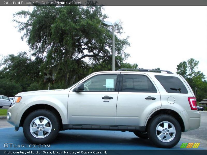 Gold Leaf Metallic / Camel 2011 Ford Escape XLT