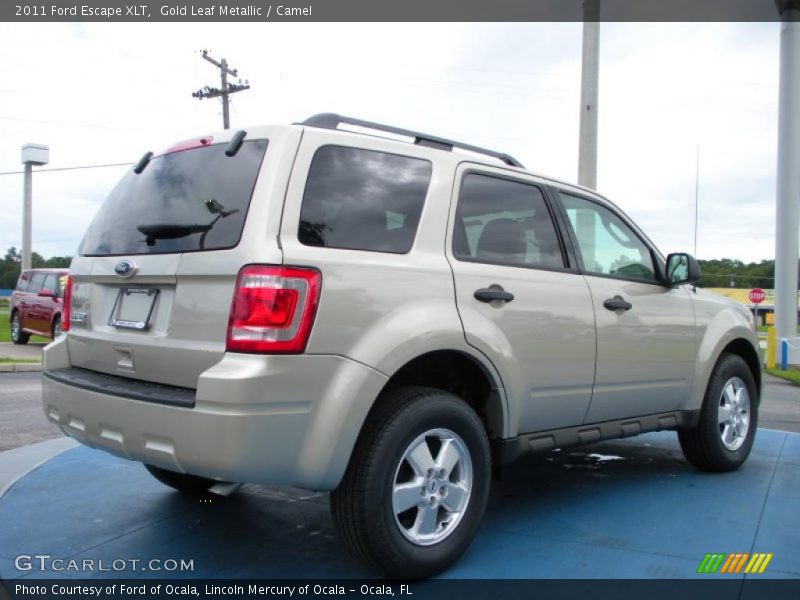 Gold Leaf Metallic / Camel 2011 Ford Escape XLT