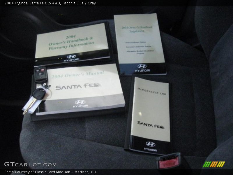 Moonlit Blue / Gray 2004 Hyundai Santa Fe GLS 4WD