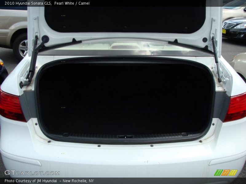 Pearl White / Camel 2010 Hyundai Sonata GLS