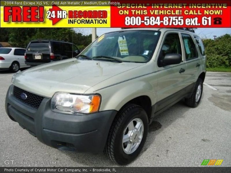 Gold Ash Metallic / Medium/Dark Pebble 2004 Ford Escape XLS V6