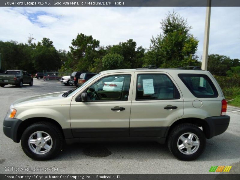 Gold Ash Metallic / Medium/Dark Pebble 2004 Ford Escape XLS V6