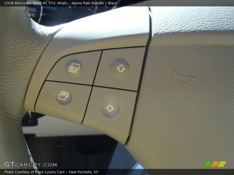 Alpine Rain Metallic / Black 2008 Mercedes-Benz ML 350 4Matic