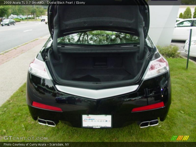 Crystal Black Pearl / Ebony 2009 Acura TL 3.7 SH-AWD
