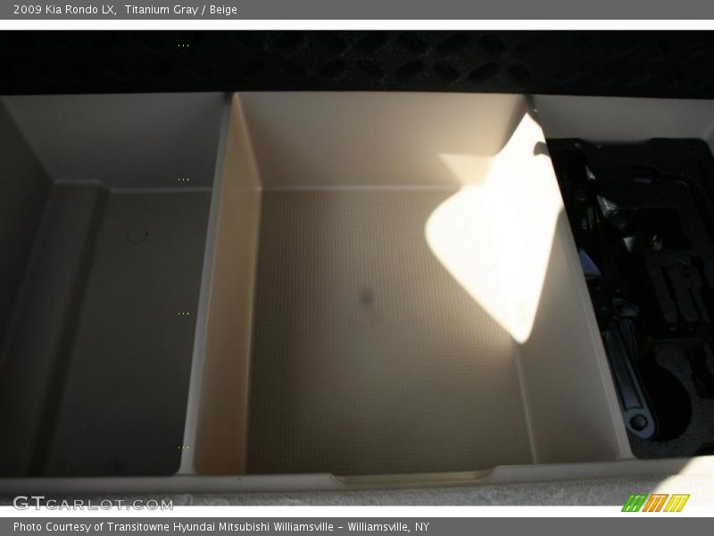 Titanium Gray / Beige 2009 Kia Rondo LX