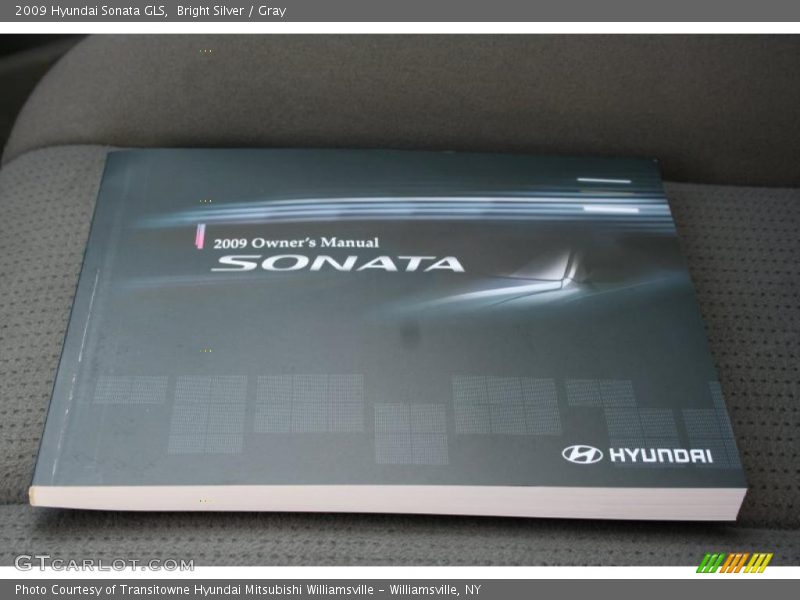 Bright Silver / Gray 2009 Hyundai Sonata GLS