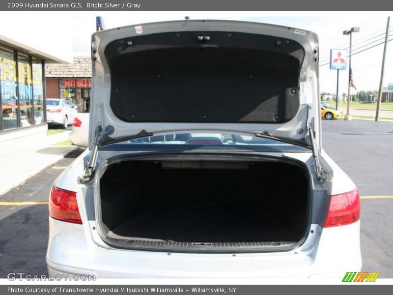 Bright Silver / Gray 2009 Hyundai Sonata GLS
