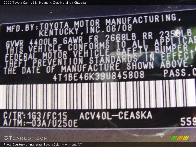 Magnetic Gray Metallic / Charcoal 2009 Toyota Camry SE