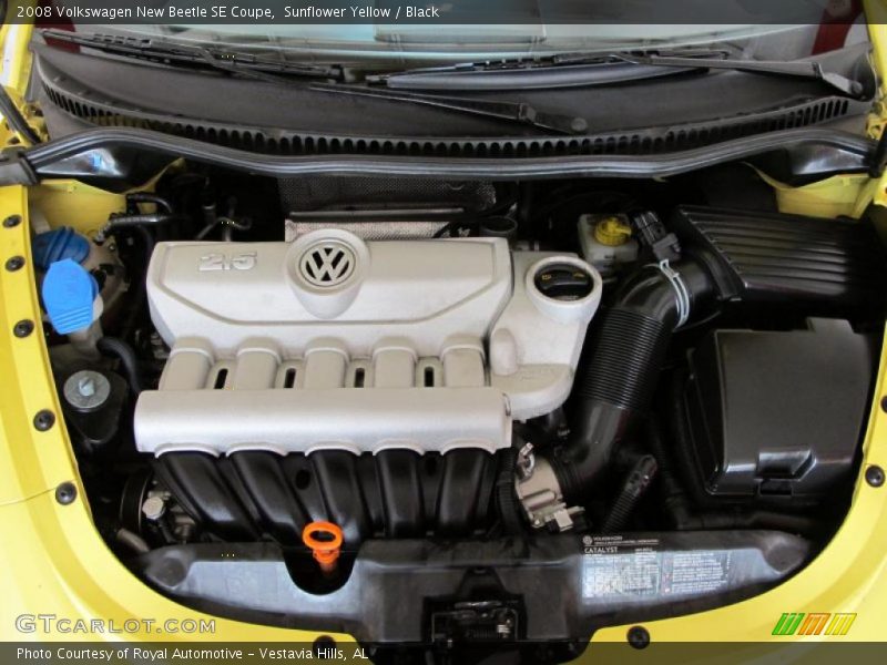 Sunflower Yellow / Black 2008 Volkswagen New Beetle SE Coupe