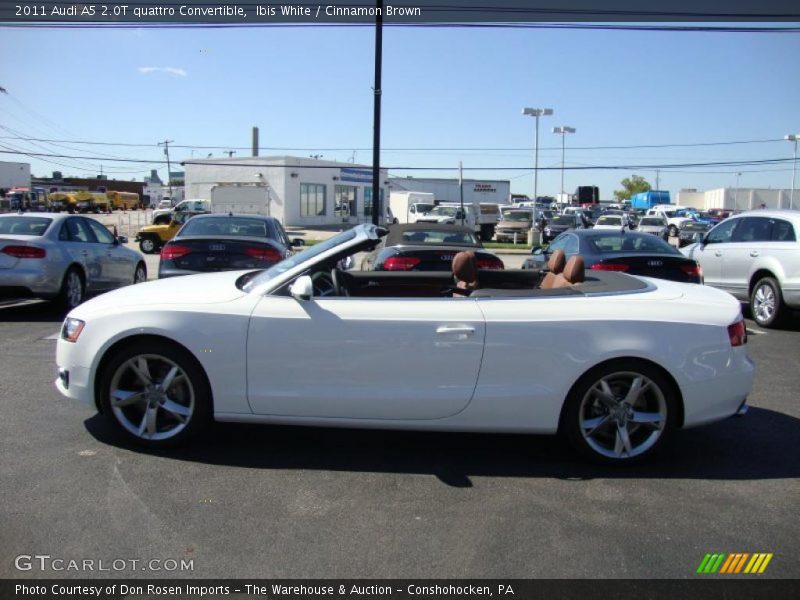 Ibis White / Cinnamon Brown 2011 Audi A5 2.0T quattro Convertible
