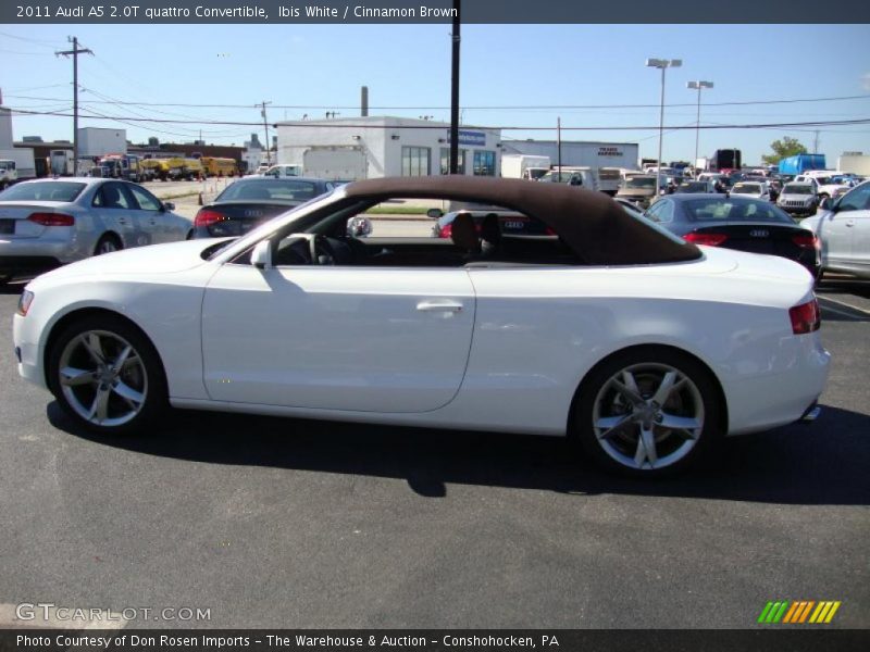 Ibis White / Cinnamon Brown 2011 Audi A5 2.0T quattro Convertible