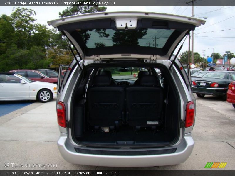 Bright Silver Metallic / Navy Blue 2001 Dodge Grand Caravan ES