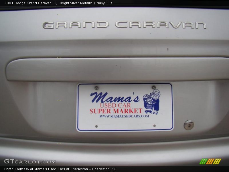 Bright Silver Metallic / Navy Blue 2001 Dodge Grand Caravan ES