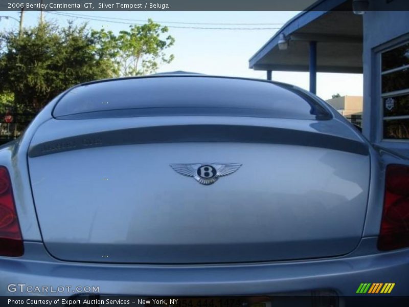 Silver Tempest / Beluga 2006 Bentley Continental GT
