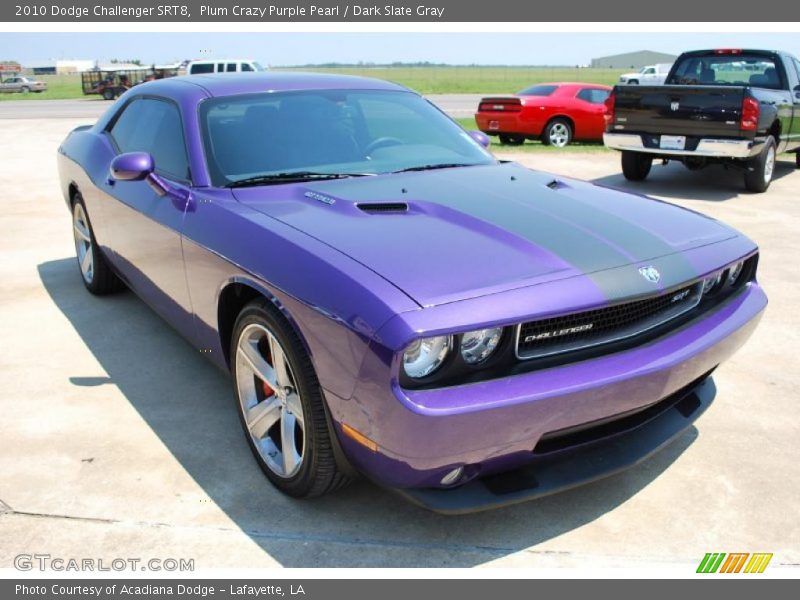 Plum Crazy Purple Pearl / Dark Slate Gray 2010 Dodge Challenger SRT8