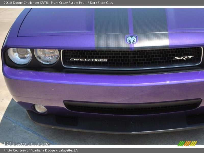 Plum Crazy Purple Pearl / Dark Slate Gray 2010 Dodge Challenger SRT8