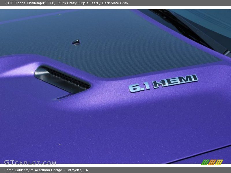 Plum Crazy Purple Pearl / Dark Slate Gray 2010 Dodge Challenger SRT8