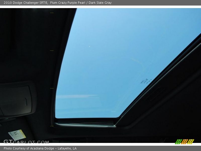 Plum Crazy Purple Pearl / Dark Slate Gray 2010 Dodge Challenger SRT8