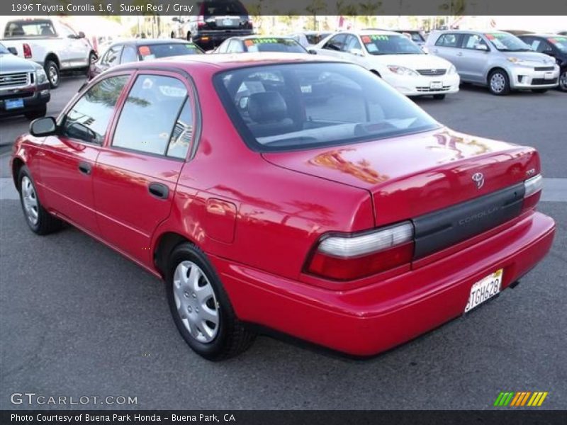 Super Red / Gray 1996 Toyota Corolla 1.6