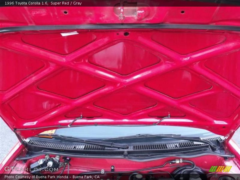 Super Red / Gray 1996 Toyota Corolla 1.6