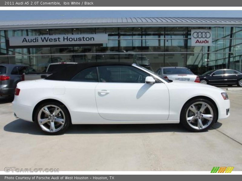 Ibis White / Black 2011 Audi A5 2.0T Convertible