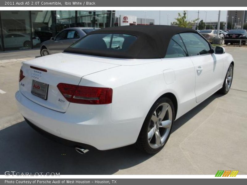 Ibis White / Black 2011 Audi A5 2.0T Convertible