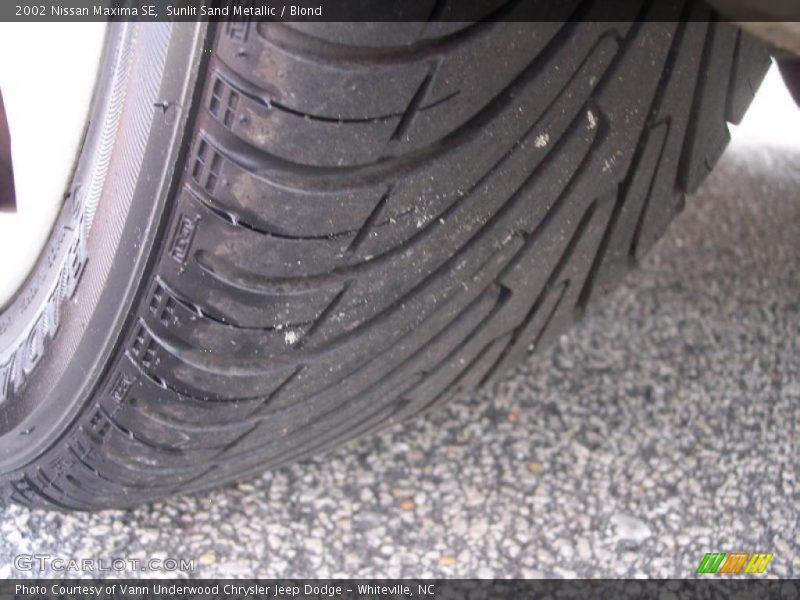 Sunlit Sand Metallic / Blond 2002 Nissan Maxima SE