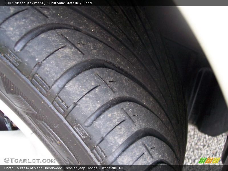 Sunlit Sand Metallic / Blond 2002 Nissan Maxima SE