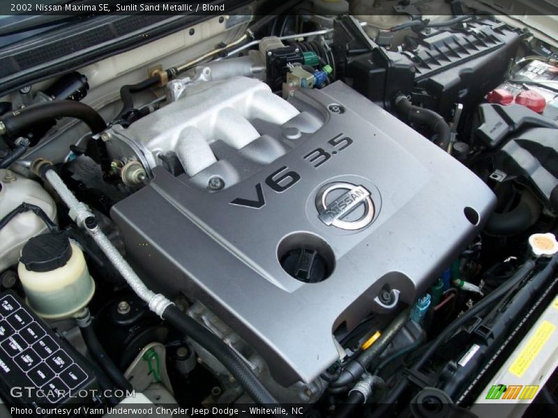 Sunlit Sand Metallic / Blond 2002 Nissan Maxima SE
