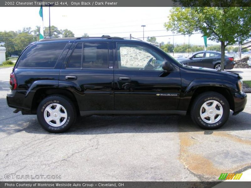 Onyx Black / Dark Pewter 2002 Chevrolet TrailBlazer LS 4x4