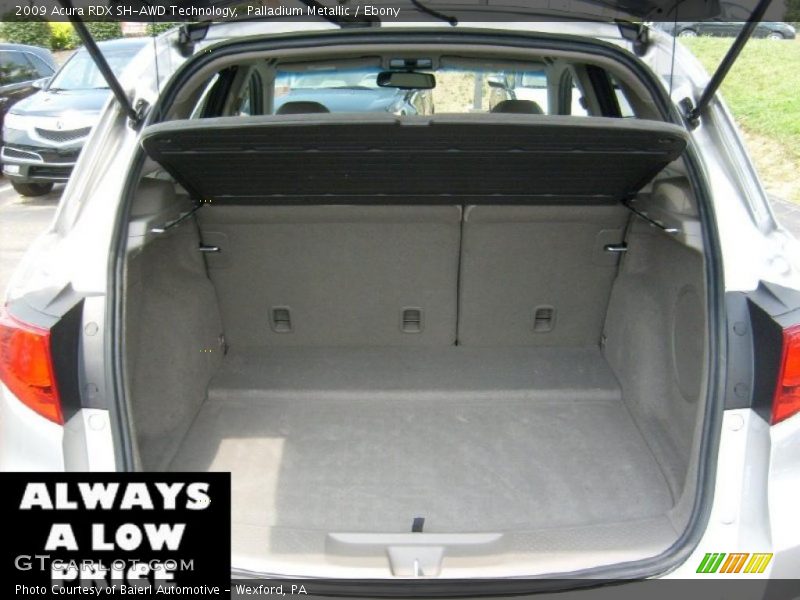 Palladium Metallic / Ebony 2009 Acura RDX SH-AWD Technology