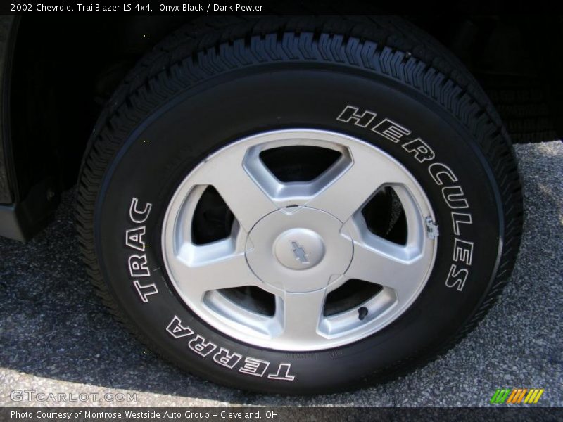 Onyx Black / Dark Pewter 2002 Chevrolet TrailBlazer LS 4x4