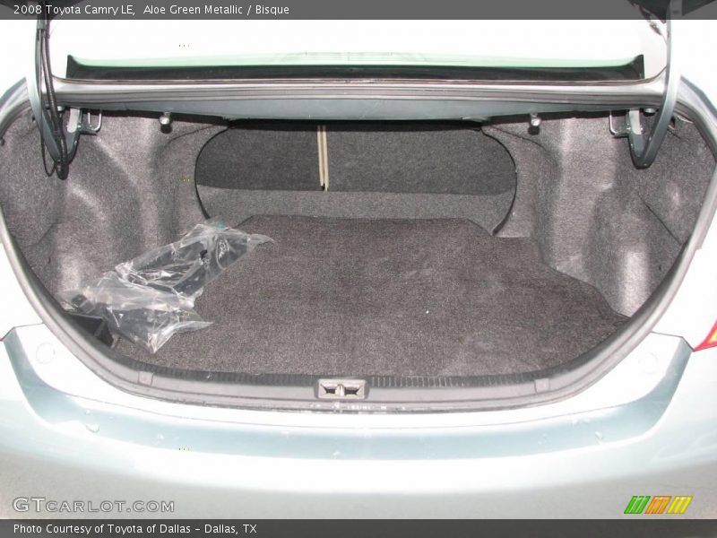 Aloe Green Metallic / Bisque 2008 Toyota Camry LE