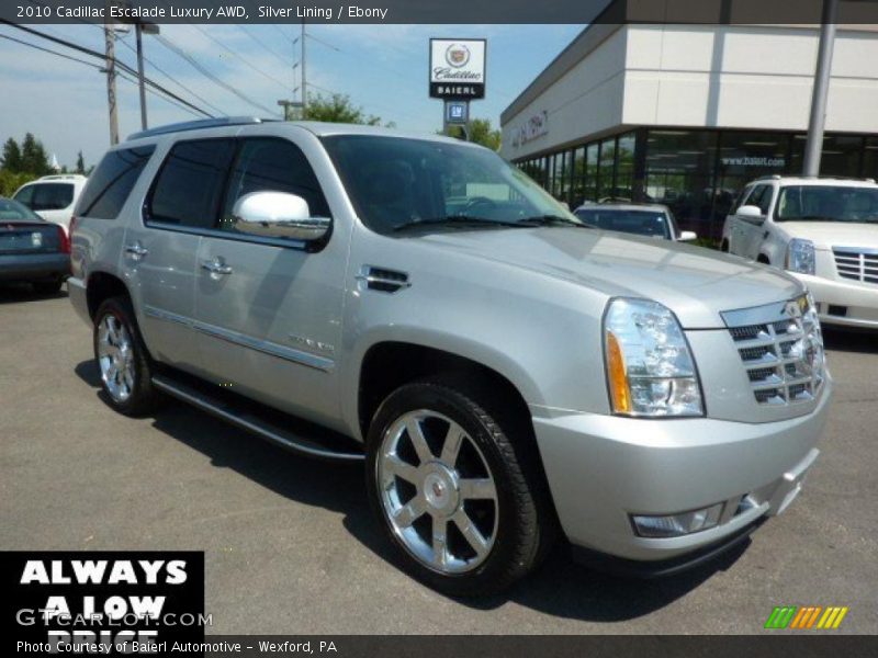 Silver Lining / Ebony 2010 Cadillac Escalade Luxury AWD