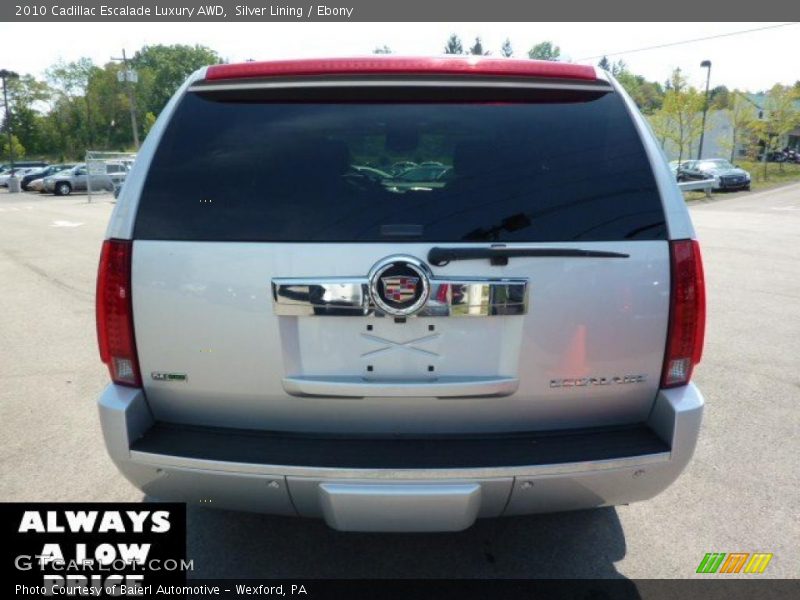 Silver Lining / Ebony 2010 Cadillac Escalade Luxury AWD