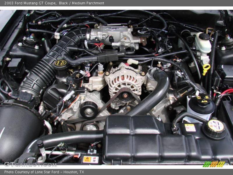 Black / Medium Parchment 2003 Ford Mustang GT Coupe