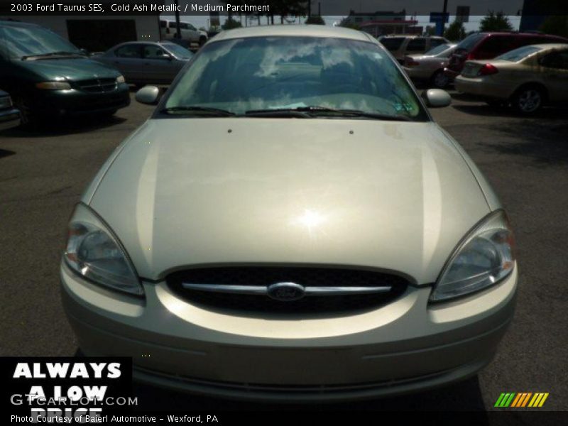 Gold Ash Metallic / Medium Parchment 2003 Ford Taurus SES