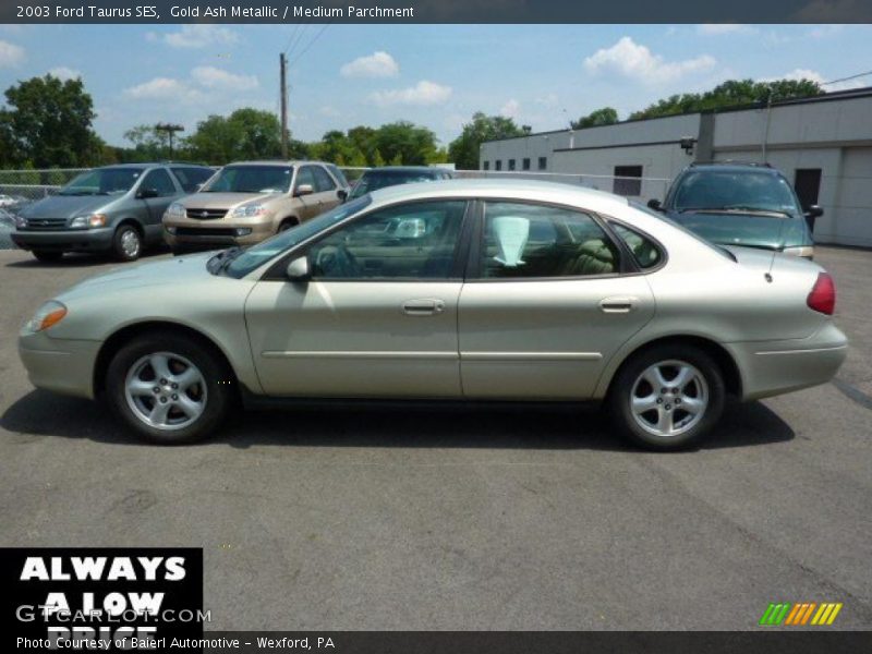 Gold Ash Metallic / Medium Parchment 2003 Ford Taurus SES