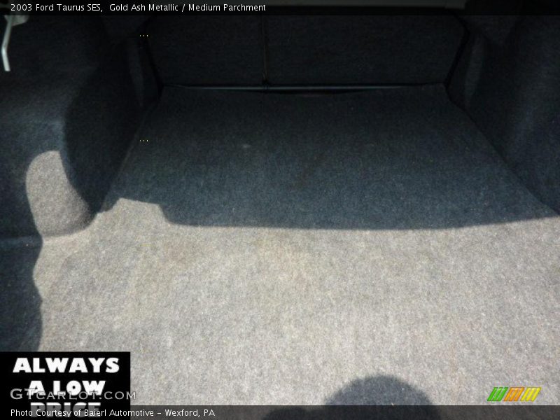 Gold Ash Metallic / Medium Parchment 2003 Ford Taurus SES
